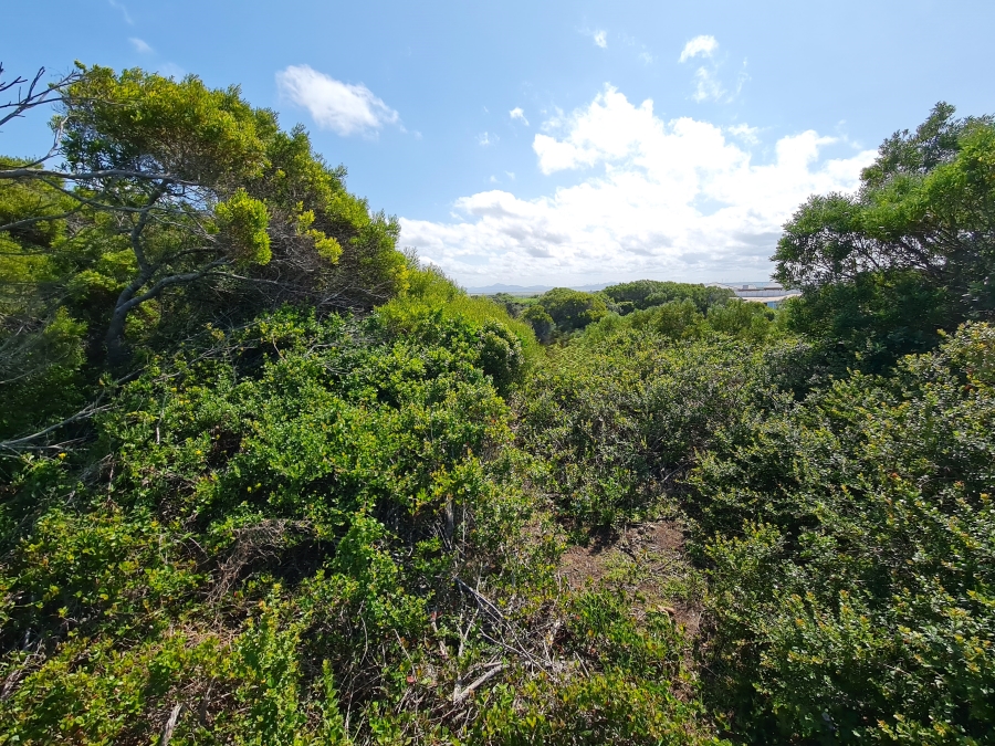 0 Bedroom Property for Sale in Paradise Beach Eastern Cape